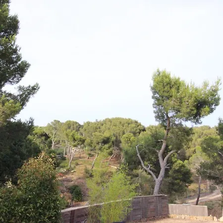 Chez Audrey Dans La Pinede *